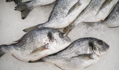 Productos del mar congelados en Panama